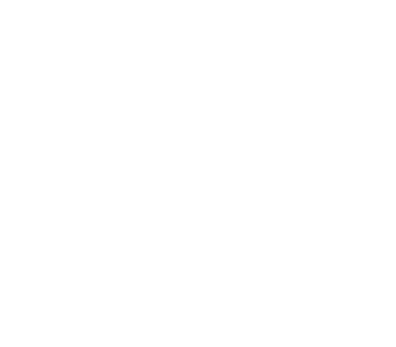 Universidade do Minho — Instituto de Ciências Sociais